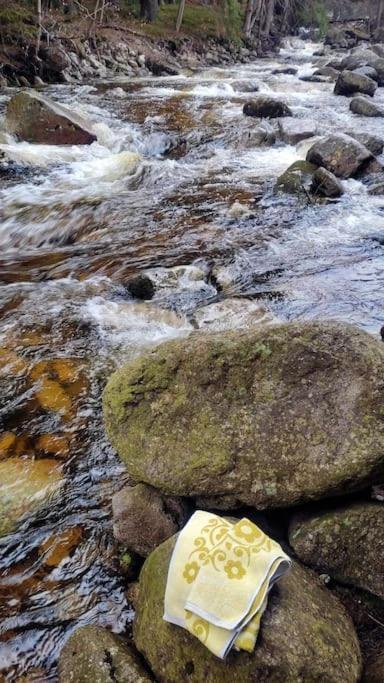 Plne Vybaveny Apartman Pod Mumlavskym Vodopadem, Zahrada S Ohnistem, Idealni Vychozi Bod Pro Turistiku, U Cesty Na Hrebeny, Kousek Do Centra, Absolutni Klid, Vybaveny I Pro Deti, Wellness A Fitko Naproti Harrachov Exteriér fotografie