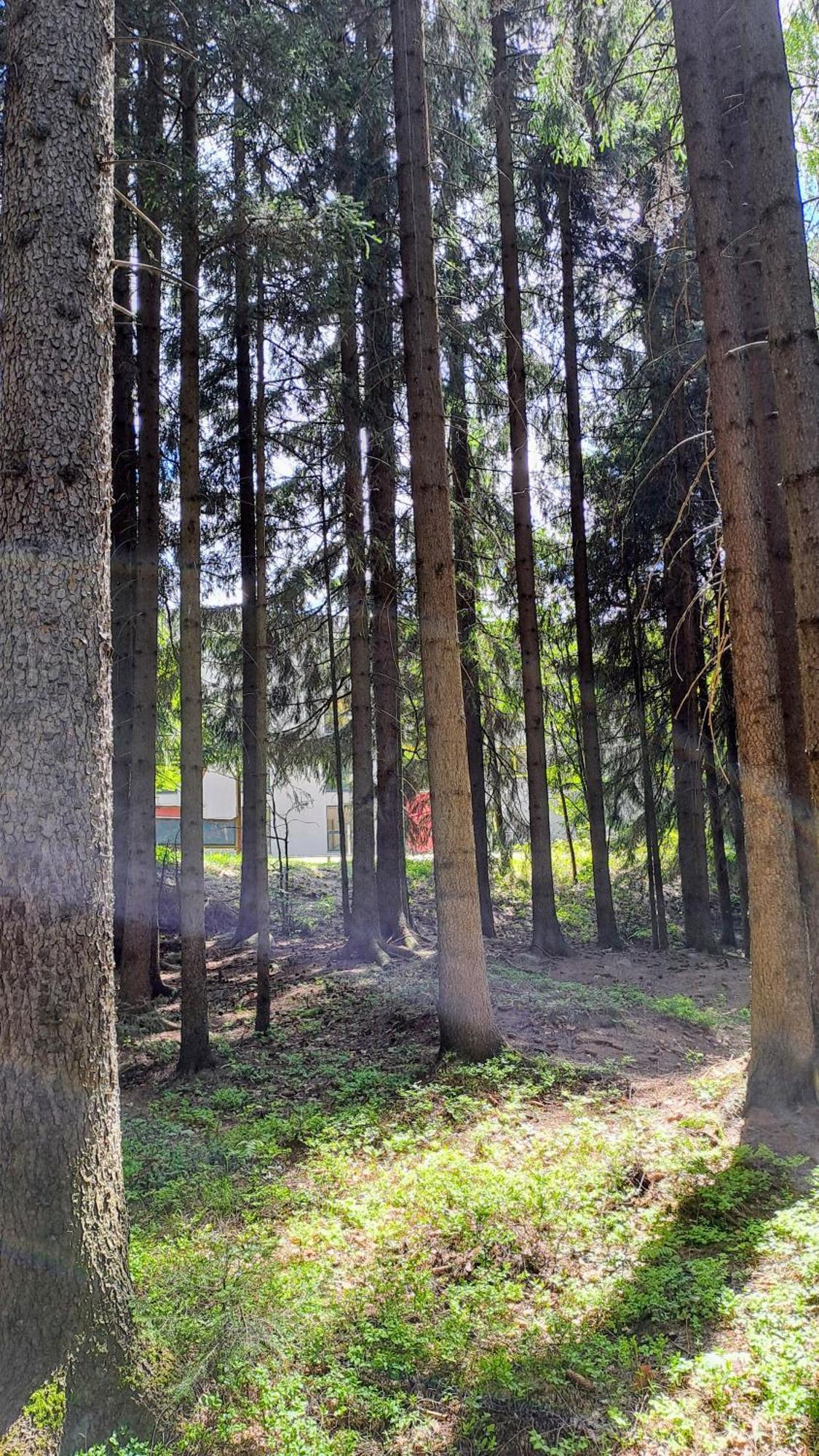 Plne Vybaveny Apartman Pod Mumlavskym Vodopadem, Zahrada S Ohnistem, Idealni Vychozi Bod Pro Turistiku, U Cesty Na Hrebeny, Kousek Do Centra, Absolutni Klid, Vybaveny I Pro Deti, Wellness A Fitko Naproti Harrachov Exteriér fotografie